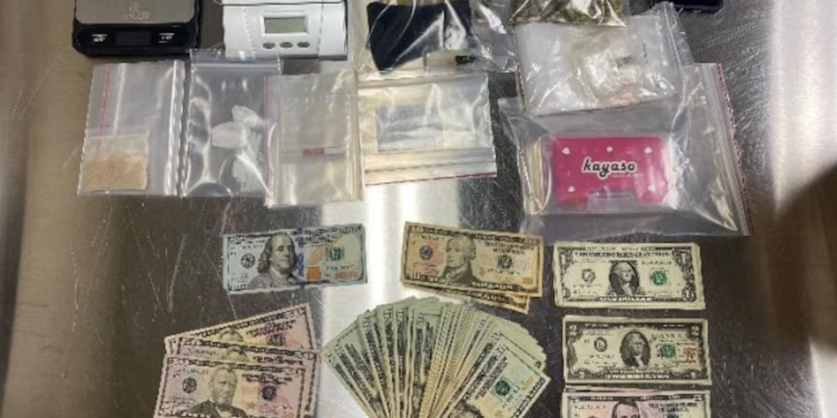 Cache of Drugs Discovered in U-Haul: Woman Arrested in Tennessee after Traffic Stop Check