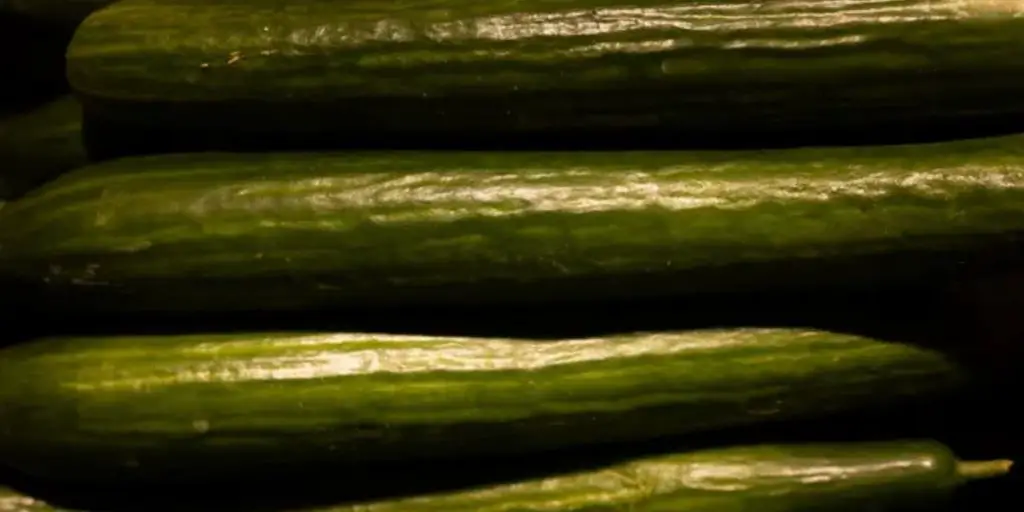 Consumer Alert Cucumber Recall Issued in 14 States; Check your State