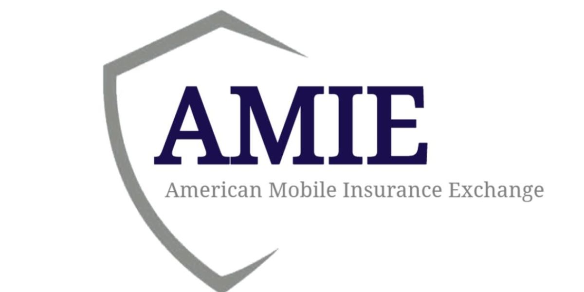 Expert Reports: St. Pete Insurance Firm Drops 1,200 Mobile Home Policies