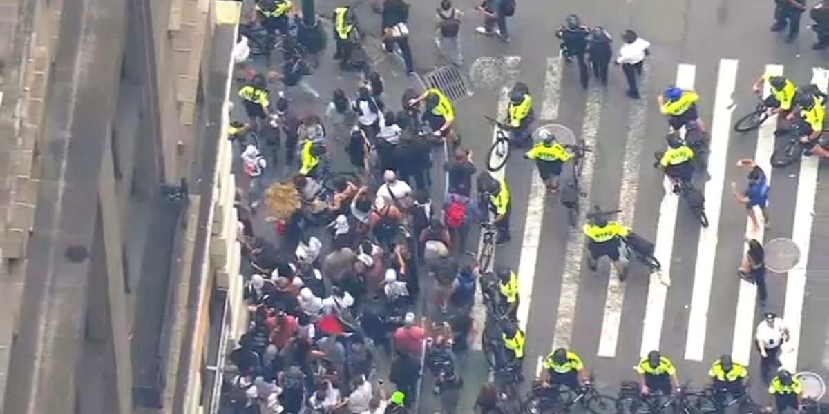 Multiple Arrests as Dueling Gaza Protests Disrupt Grand Central Terminal