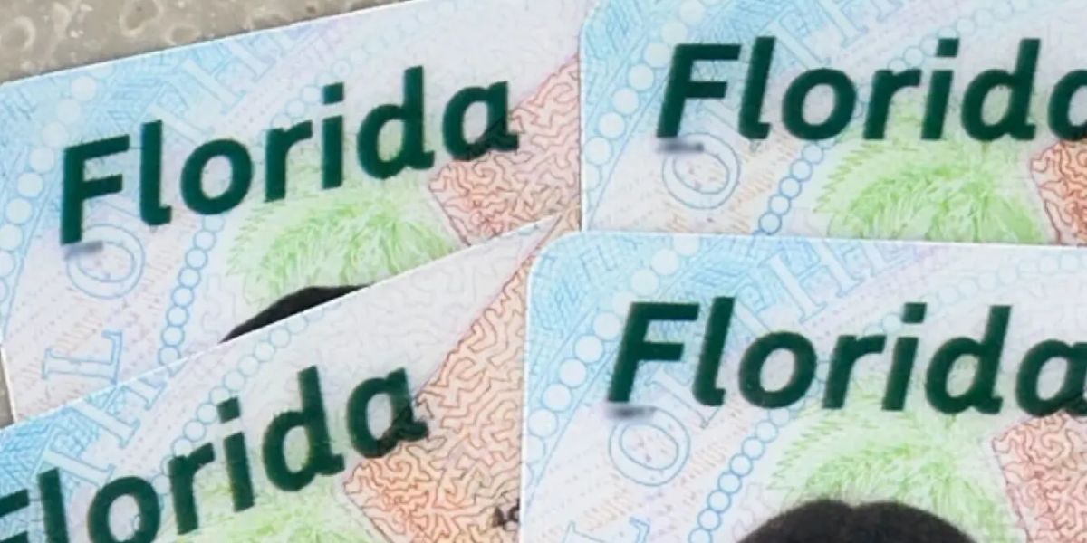 New Florida Driver's License Design The Reason Behind Random Numbers