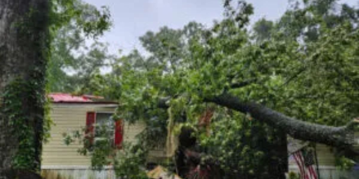 13-year-old Crushed to Death after Tree Fell on Mobile Home in Florida; Community Grappling with Loss