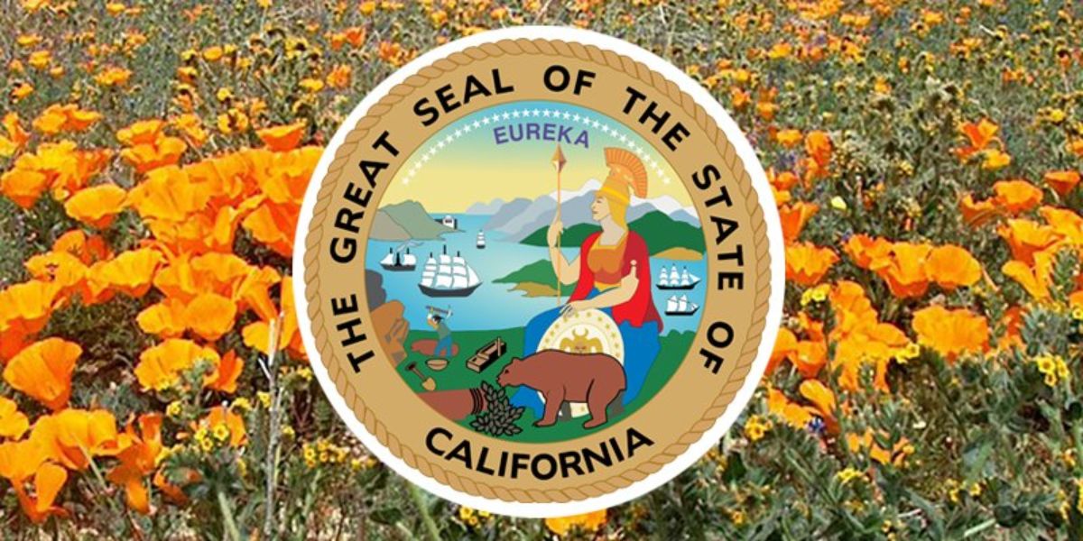 Attention! 530 Region Residents CPUC Announces New 837 Area Code Implementation, Check Fact Now