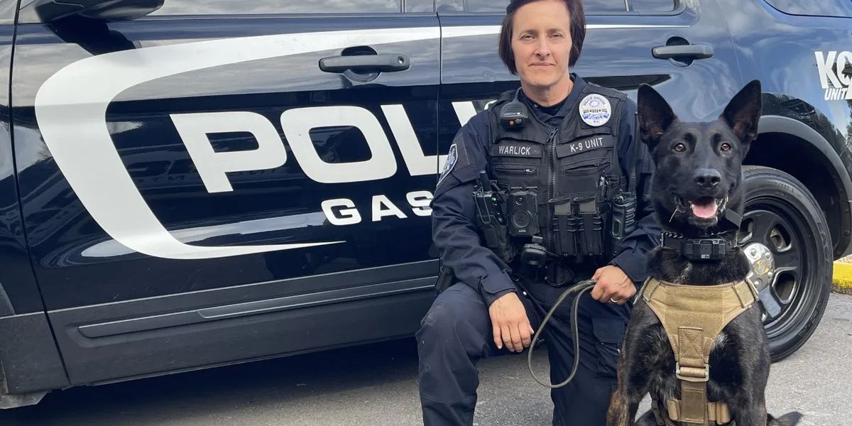 Breaking News! Gastonia’s Only Female K9 Officer Leads the Charge in Robbery Suspect Hunt