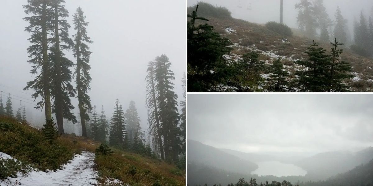 California's August Snowfall Creates Stunning ‘Winter Wonderland’ Effect