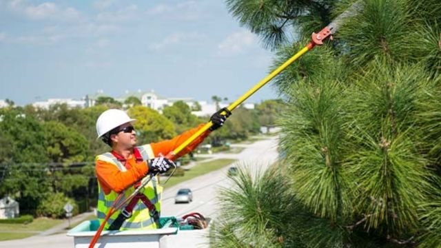 FPL Prepares for Upcoming Storms, Encourages Safe Tree Practices