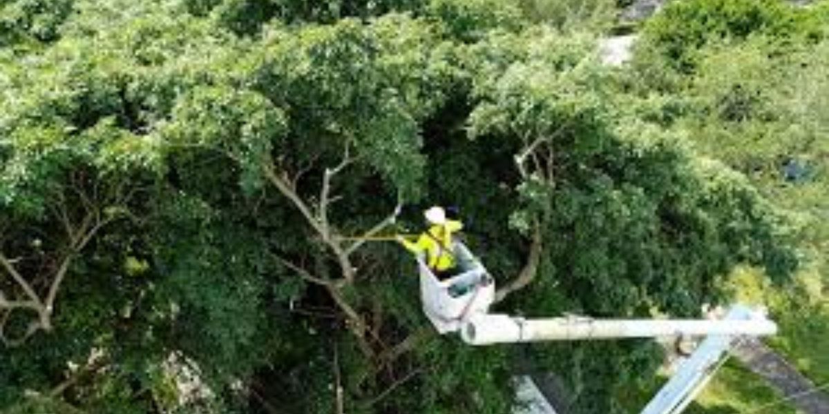 FPL Prepares for Upcoming Storms, Encourages Safe Tree Practices