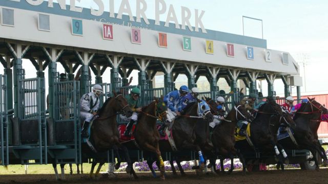 Get Ready for the Texas Yearling Sale Catalogue Out for Aug. 26 at Lone Star Park