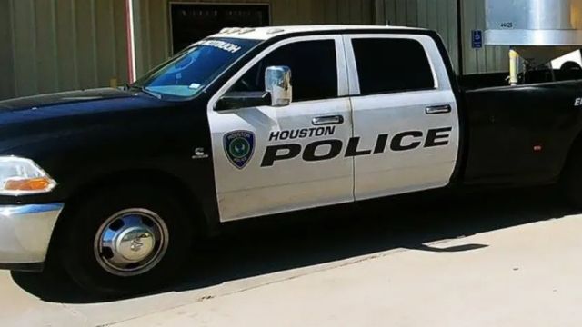 Houston Police Report Death of 2-Year-Old Girl Following Attack by Three Dogs