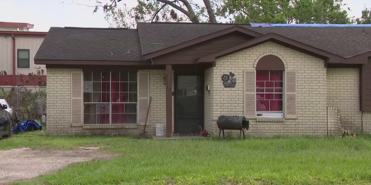 Houston Police Report Death of 2-Year-Old Girl Following Attack by Three Dogs