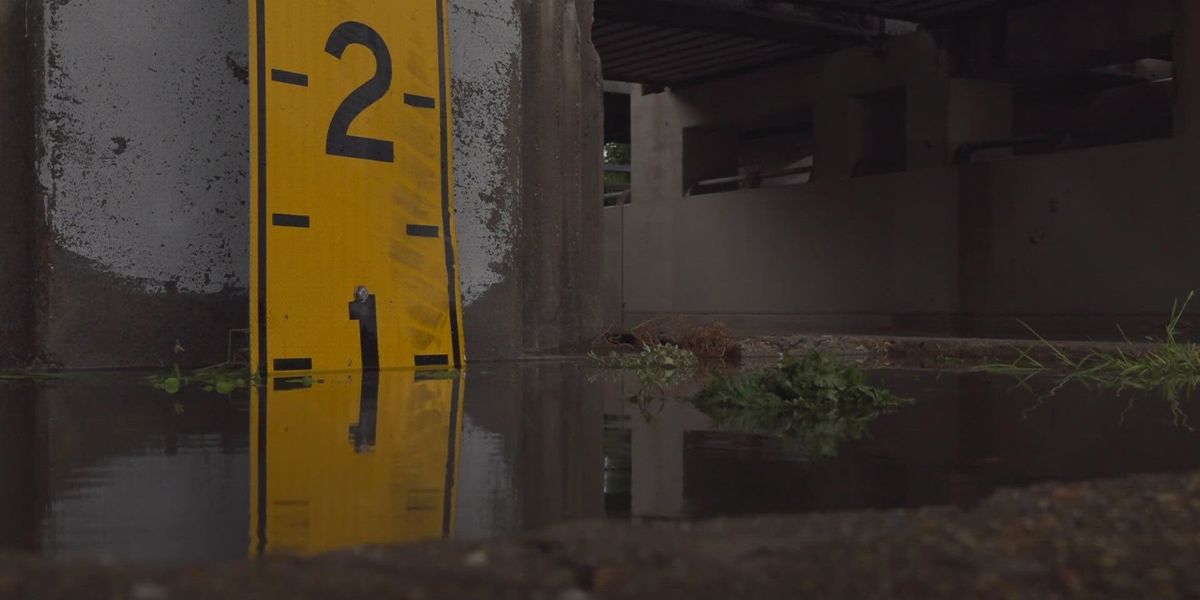 Severe Weather Alert: Flash Flood Warning and Power Outages in Southeast Louisiana