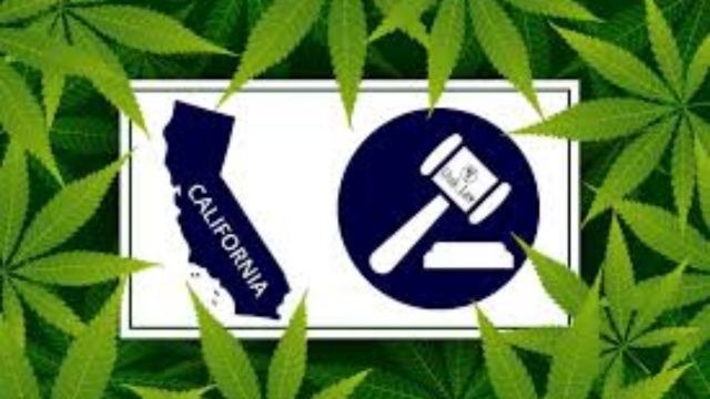 Dangerous News! Newsom Seeks to Outlaw Hemp THC Major Shift in California Cannabis Law