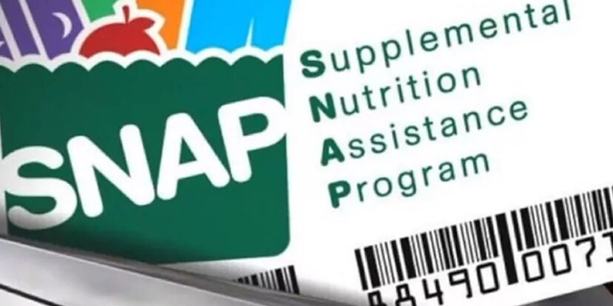 Food Stamps in Texas and Florida Who’s Getting SNAP Benefits This September