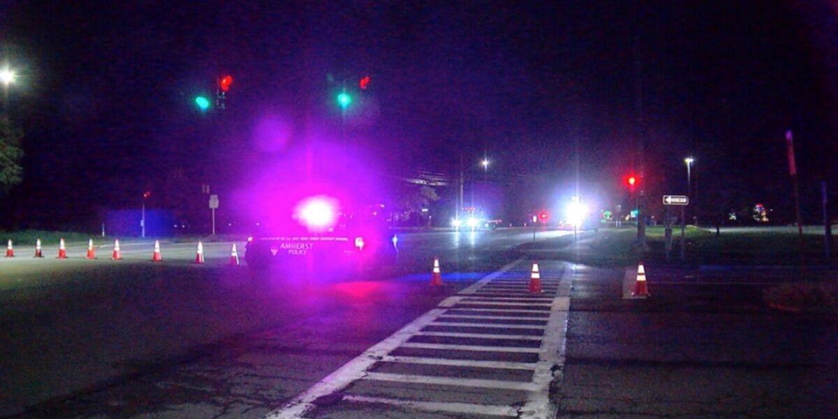 Late-Night Tragedy Williamsville Man Killed and Toddler Seriously Injured in Amherst Crash