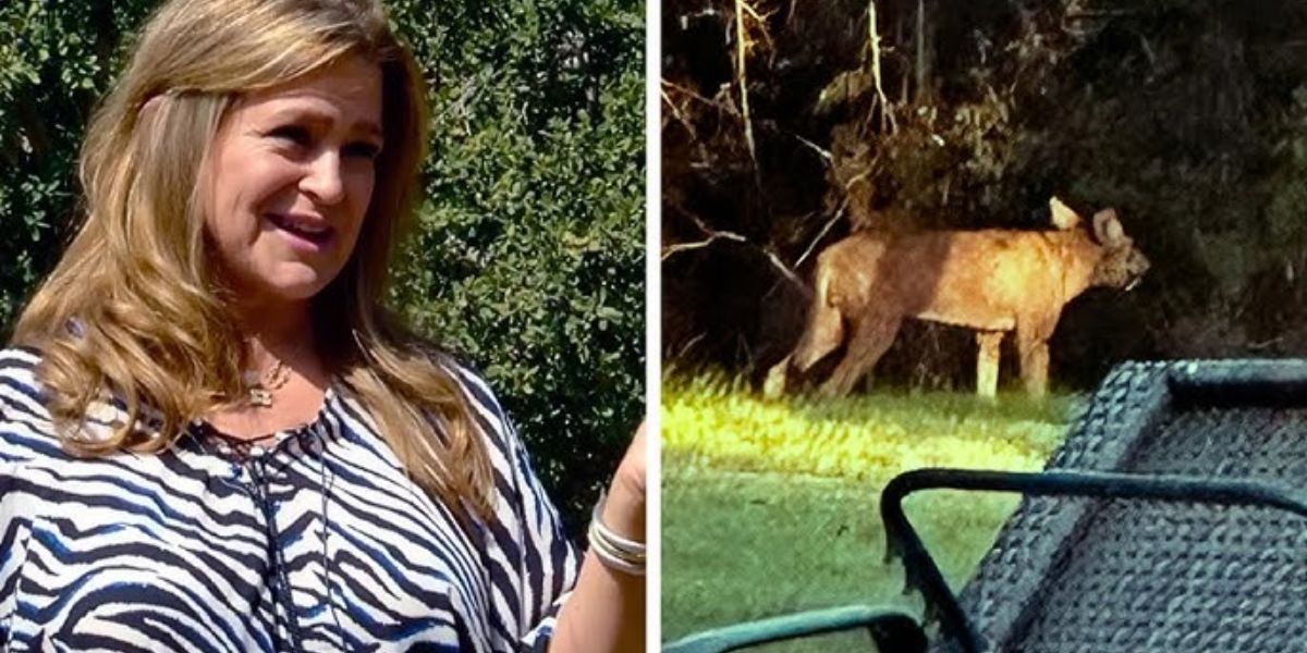 Unexpected Encounter Woman Shocked to Identify Mysterious Animal Near the Road