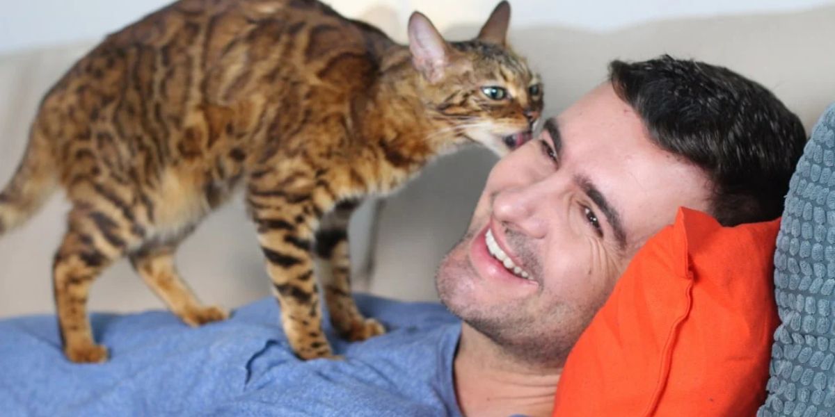 5 Subtle Signs Your Cat Is Head Over Paws in Love With You