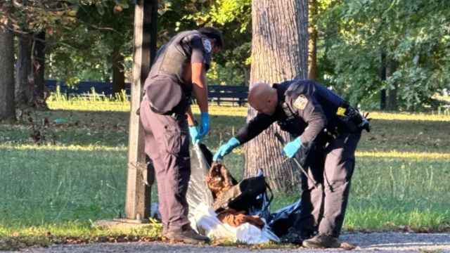 Authorities Investigate After Man Found Hanging in NYC Park Following Worrisome Text