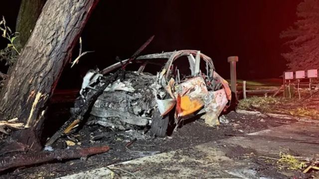 New Jersey Driver Dies in Fiery Crash Following Collision with Tree and Gate