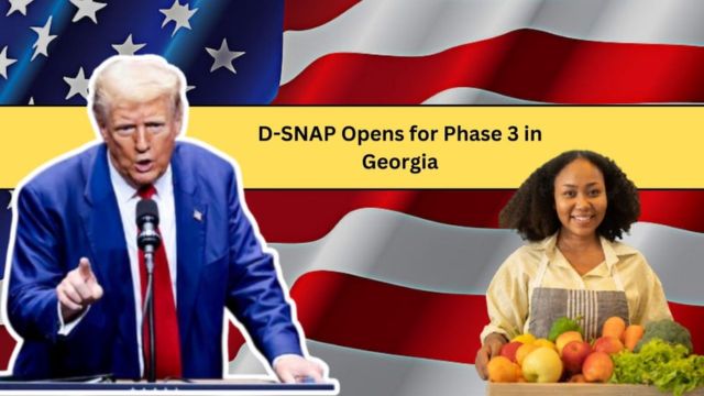 Is This Good For You! Georgia Launches Phase 3 of D-SNAP What You Need to Know