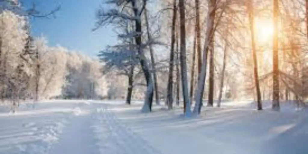 New Mexico Set for First Snowfall of the Season as Fall Storms Approach