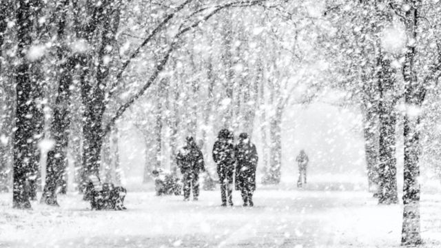 New Mexico Set for First Snowfall of the Season as Fall Storms Approach (1)