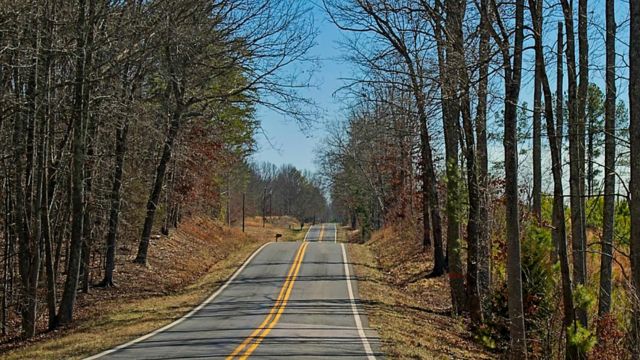 Uncovering the Longest Road in Virginia A Journey Across the State