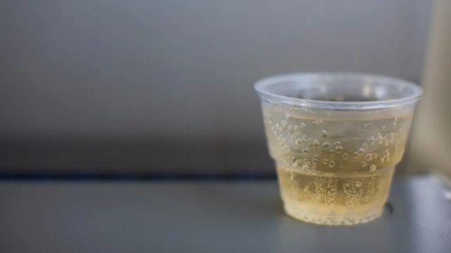 The Ginger Ale Lawsuit Unfolded What’s At Stake and What You Should Know