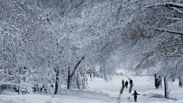 Winter Storm to Blanket 5 States with Up to 20 Inches of Snow