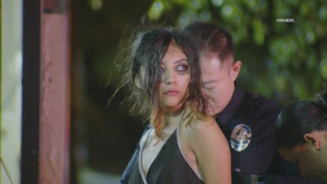 Woman in custody after allegedly stabbing boyfriend in Los Angeles