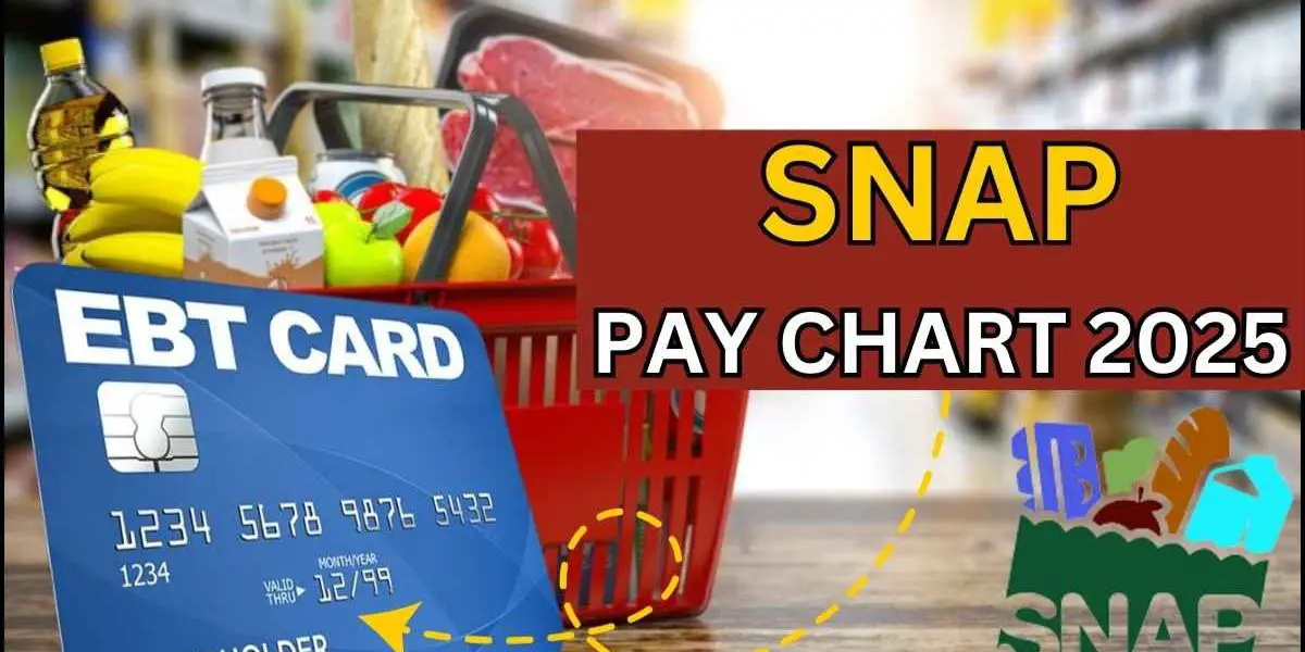 2025 SNAP Pay Dates When to Expect Your Food Stamp Payments Next Year