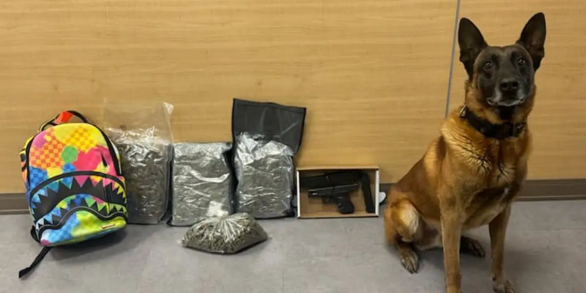 Charlotte Man Facing Charges After Being Caught with 4 Pounds of Marijuana in Mooresville