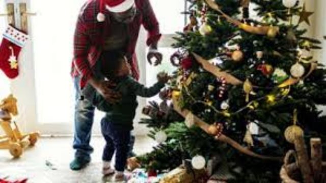 Good News for Holiday Shoppers No Major Price Hikes on Christmas Trees