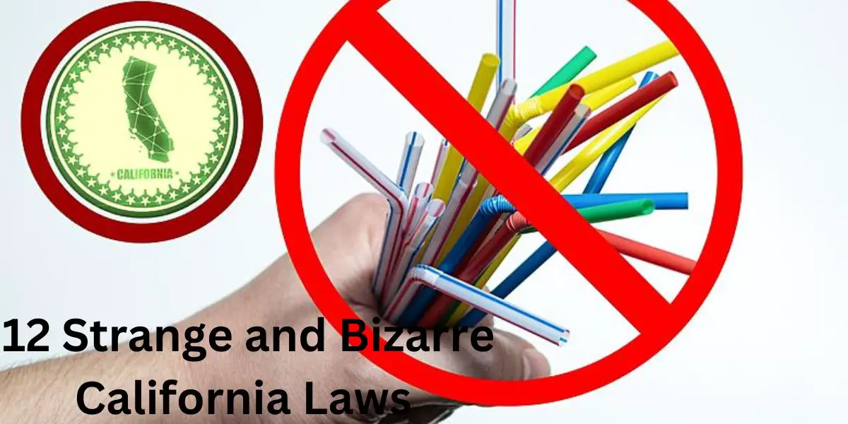 Match Your Story! 12 Strange and Bizarre California Laws That Sound Too Odd to Be True