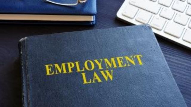 Minnesota’s Employment Laws Set for Big Overhaul Key Changes Coming Soon