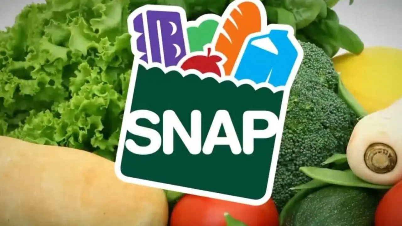 $973 SNAP Benefits: Are You Eligible? Find Out the Payment Date!