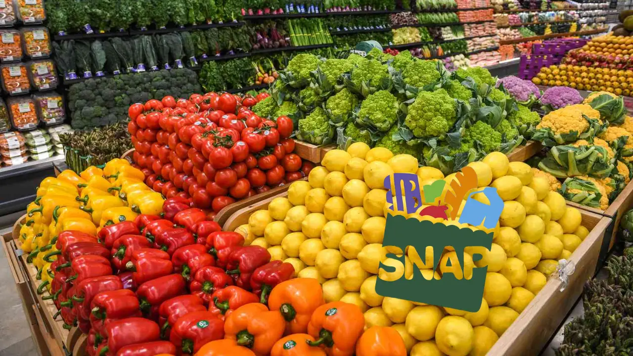 SNAP Benefits in Danger: Millions May Lose Food Stamps in Upcoming Budget Cuts!