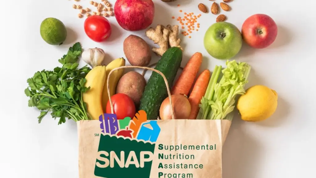 Don’t Miss Out! SNAP Florida Recertification Dates You Need to Know for ...