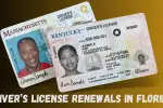 Driver’s License Renewals in Florida