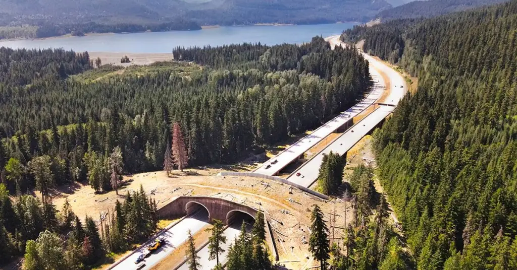 Utah’s Wildlife Crossings Are Proving to Be a Life-Saving Solution for Both Humans and Animals