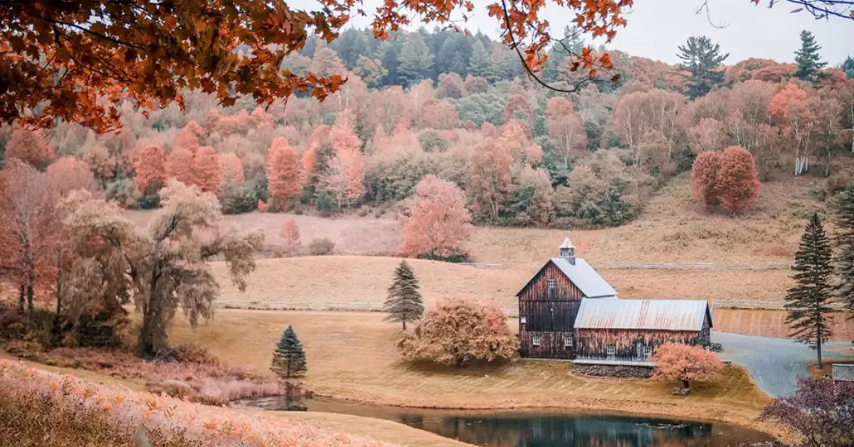 D 11 Words That Prove You’ve Lived in Vermont Too Long—Can You Say Them?