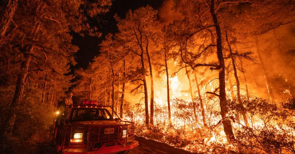 New Jersey on High Alert: Wildfire Risks Surge as Drought Continues to Threaten the State