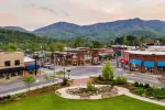 Best Things to Do in Black Mountain, North Carolina for an Amazing Weekend!