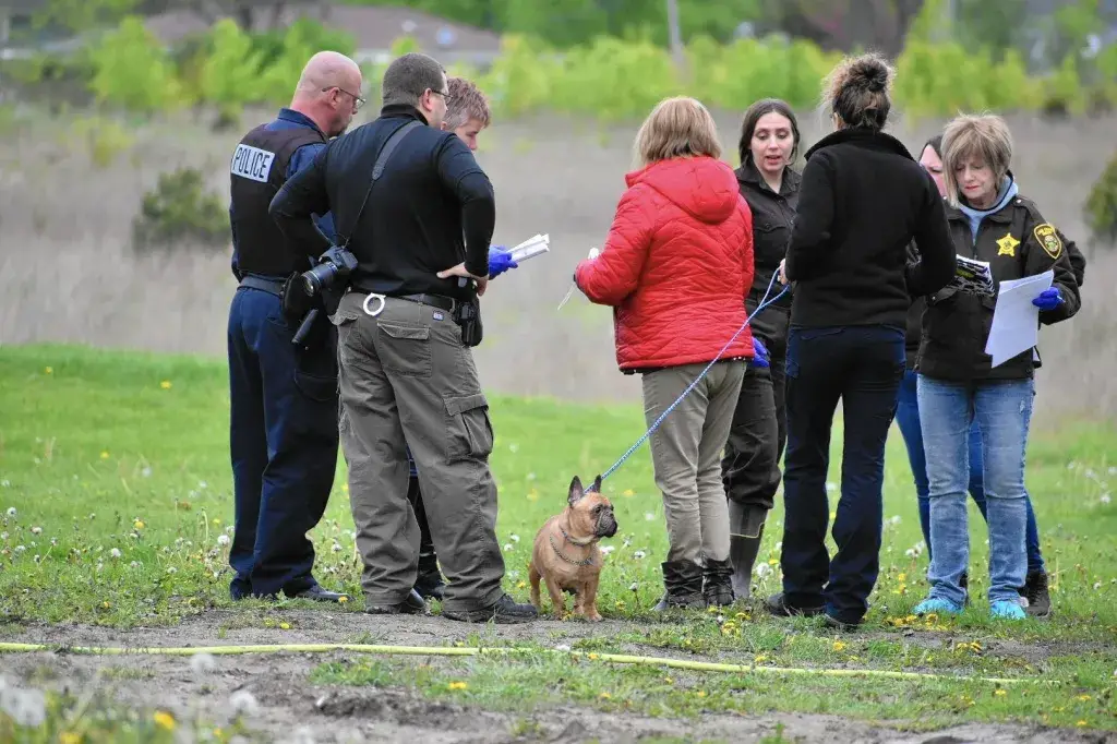 Kirkland Police Launch Investigation Into Serious Allegations of Animal Abuse