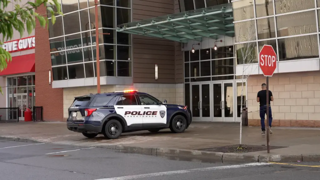 Chaos at Walden Galleria: Stabbing Sparks Massive Police and Peacemaker Response