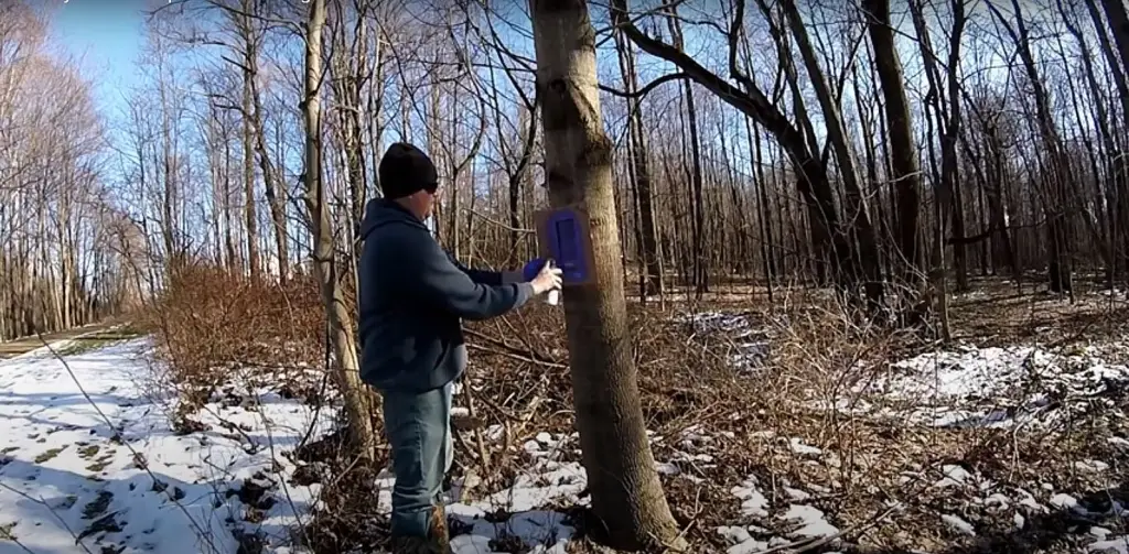 Purple Paint Marks the Boundaries of Private Land in Iowa: Don’t Ignore It