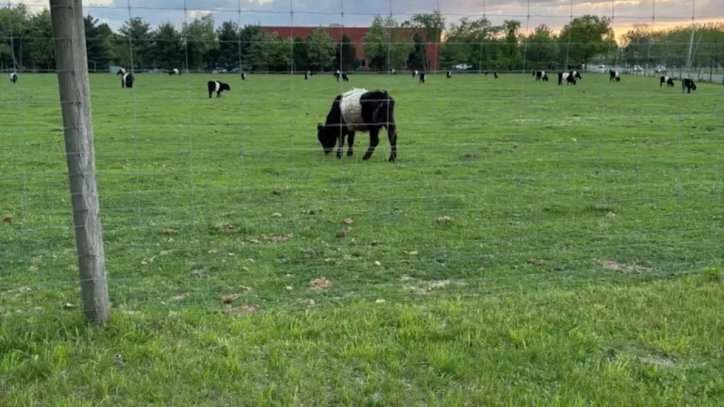 NJ Family Battles Town’s Shocking Plan to Seize Their Farm for Affordable Housing Project