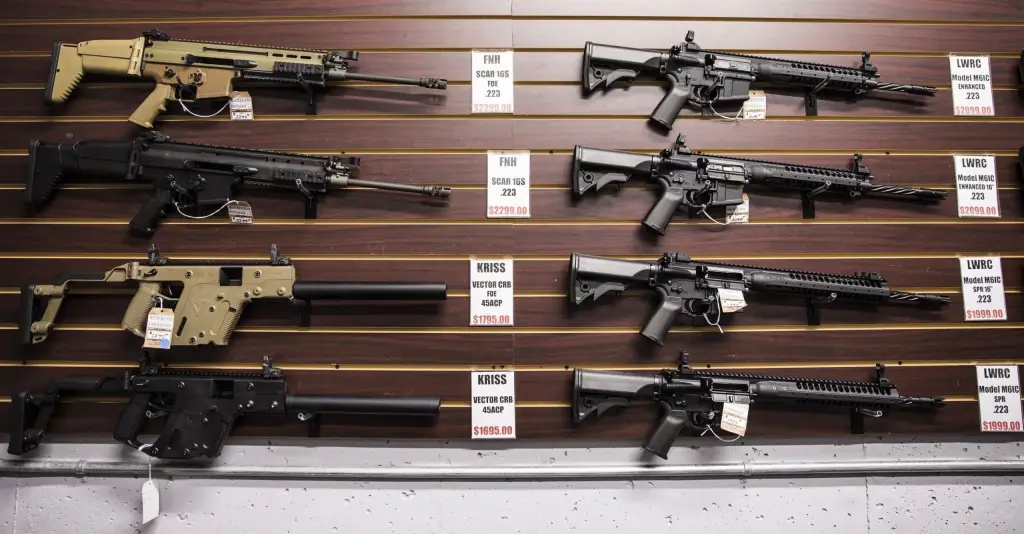 New Gun Law Could Stop Anyone Under 21 from Buying Assault Rifles