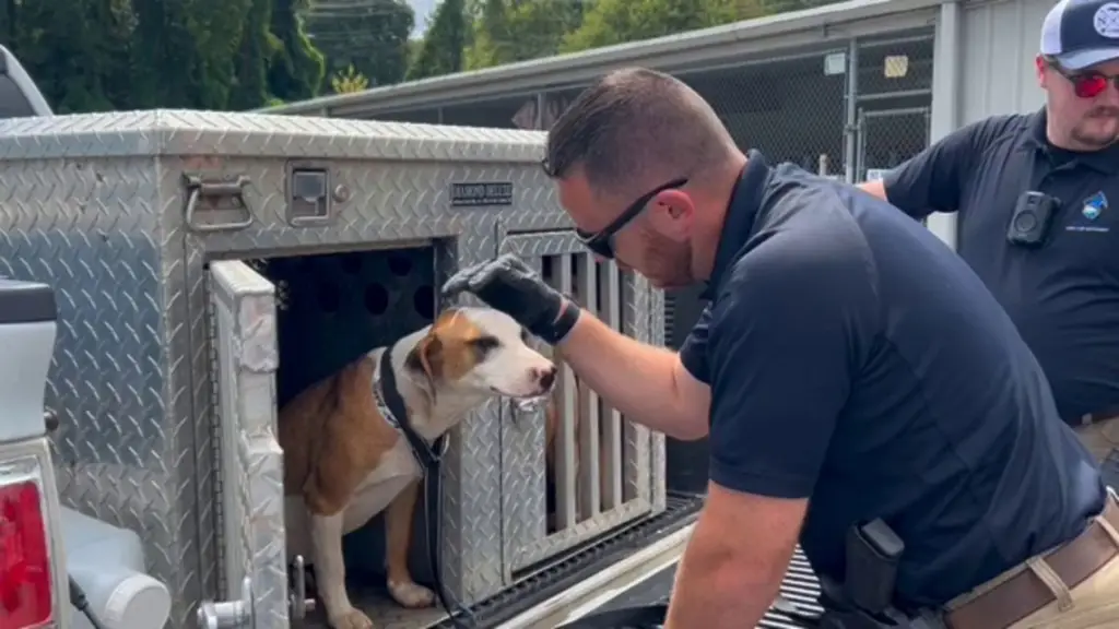 Charlotte County Police Raid Home in Disturbing Animal Cruelty Investigation