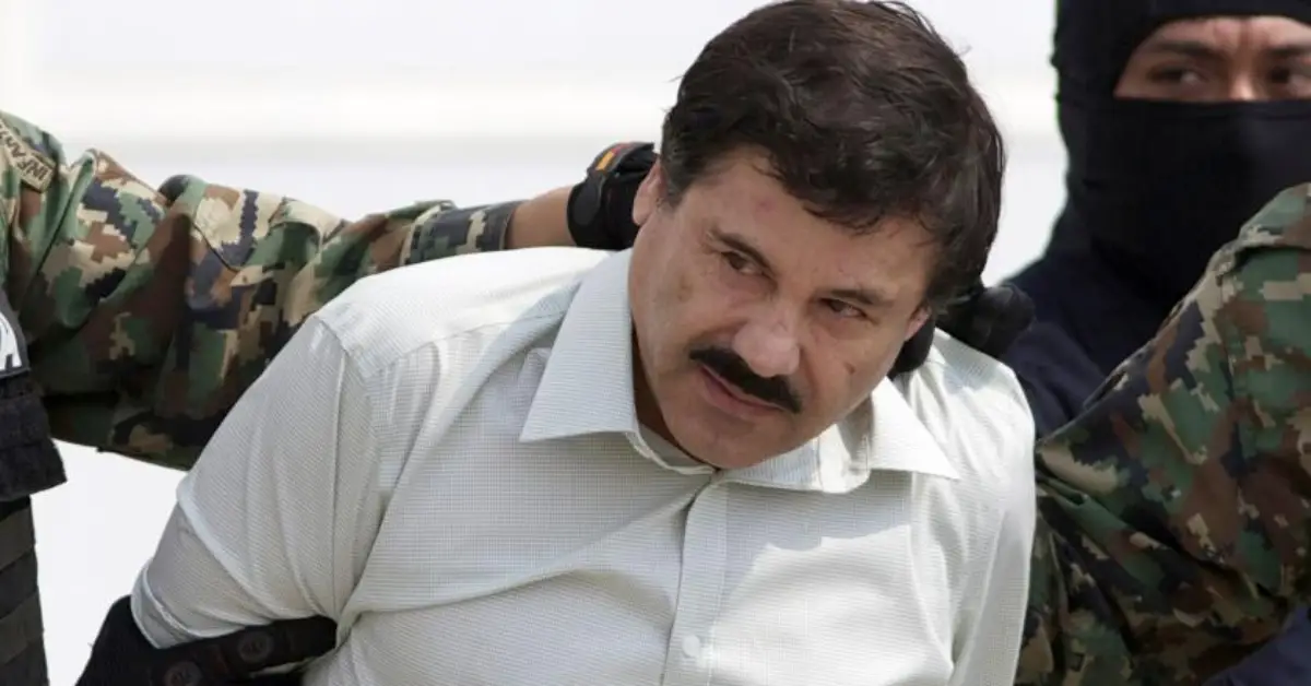 17 Family Members of A Cartel Kingpin's Family Were Escorted Into California from Mexico. Why?17 Family Members of A Cartel Kingpin's Family Were Escorted Into California from Mexico. Why?