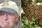 Texas Man Stung To Death By Swarm Of Bees While Mowing Lawn